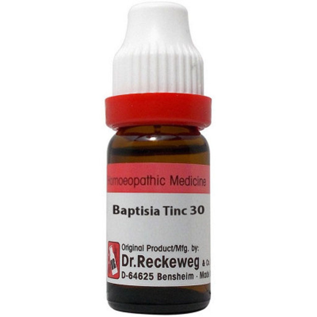 Dr. Reckeweg Baptisia Tinctoria - 11 ml