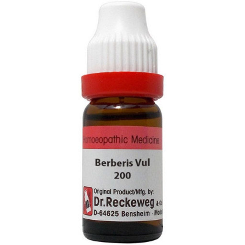 Dr. Reckeweg Berberis Vulgaris - 11 ml