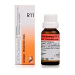 Dr. Reckeweg R11 Rheumatism Drops