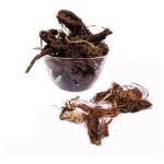 Jadamanji / Sadamanji / Spikenard Dried Root ( Raw )