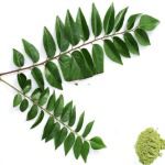 Karuvepillai / Curry Leaves Powder