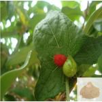 Musumusukai / Madras Pea Pumpkin / Rough Bryony Powder