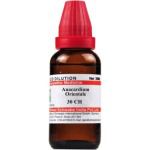 Willmar Schwabe India Anacardium Orientale - 30 ml