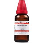 Willmar Schwabe India Blatta Orientalis - 30 ml