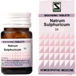 Willmar Schwabe India Natrum Sulphuricum - 20 gm